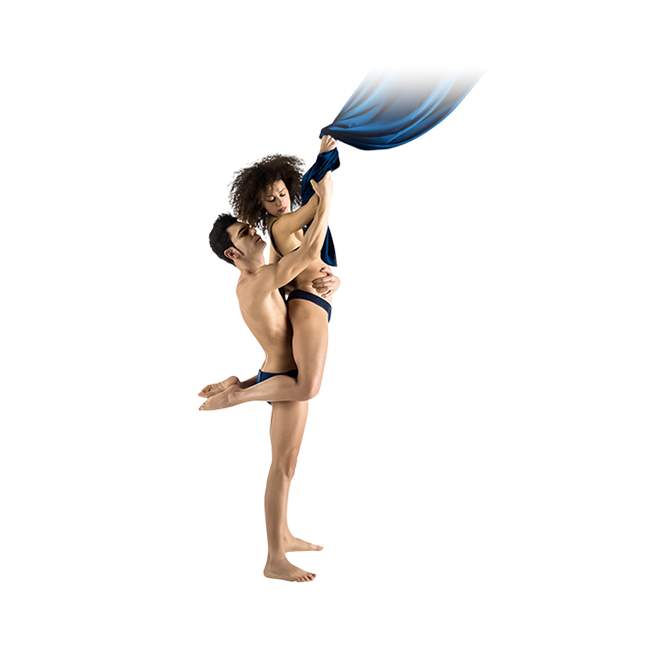 Linea Braccio e Polso